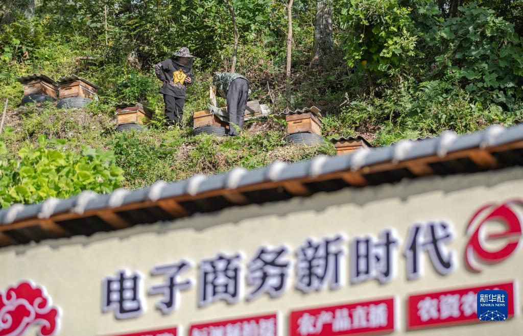 gpk官方网站